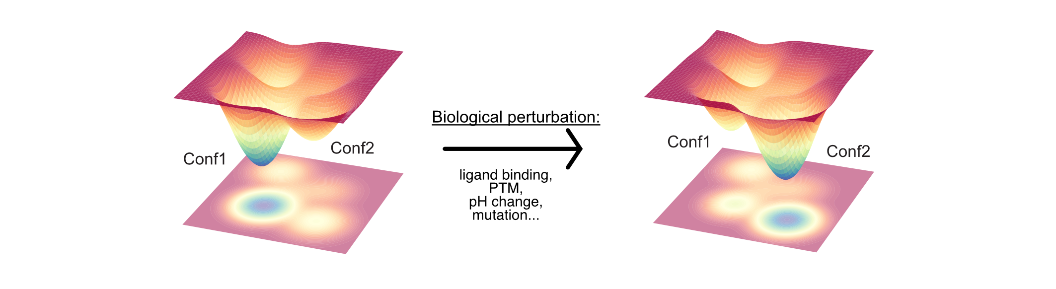 Research summary: conformational landscapes, HX-MS, and de novo allosteric design