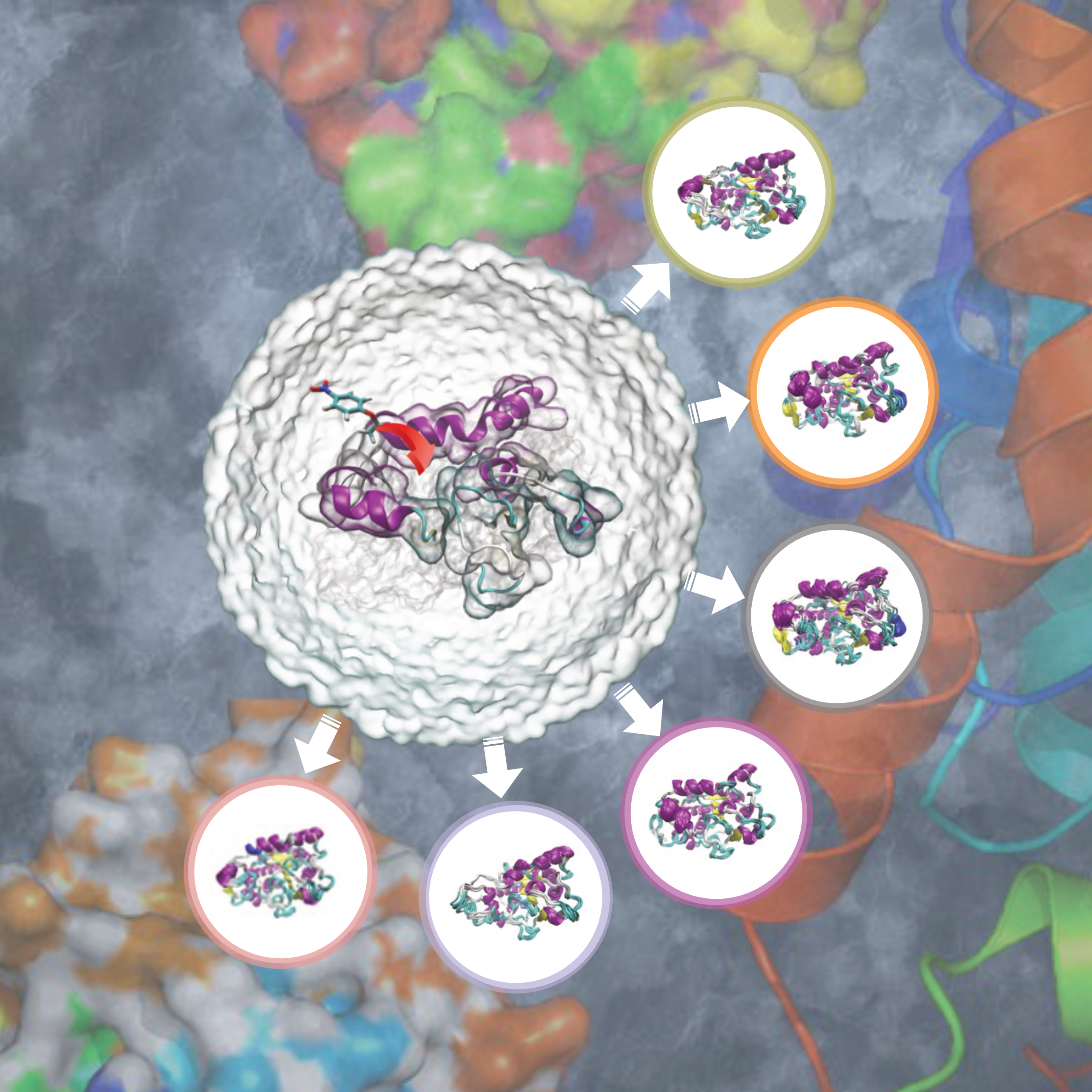 01_lipase_msm.png