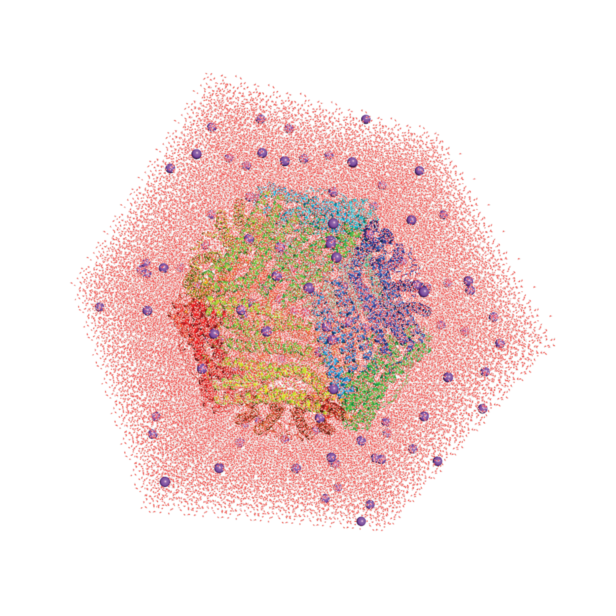 05_md_protein_cage.png